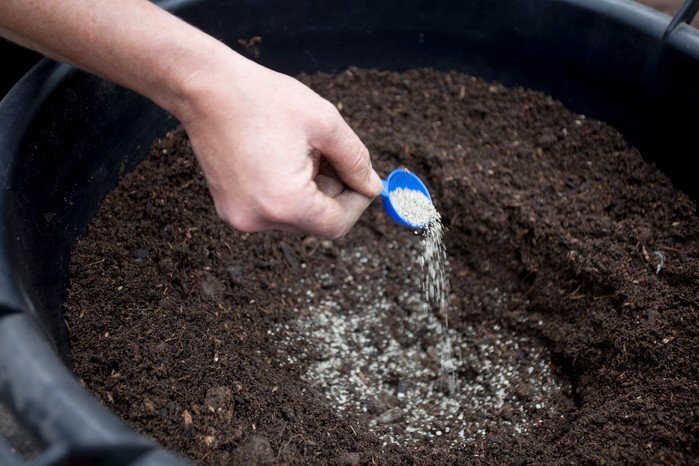 How To Add Mycorrhizae To Soil Naturally q